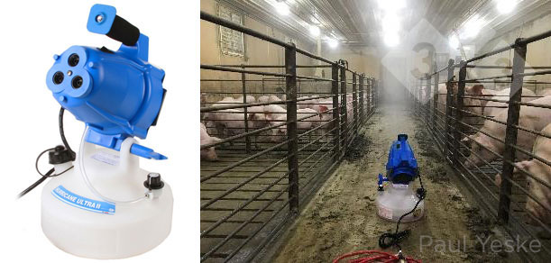 Figura 3.Esposizione delle scrofette da rimonta agli aerosol di Mycoplasma hyopneumoniae. Fonte: P. Yeske. 2019. www.pig333.com